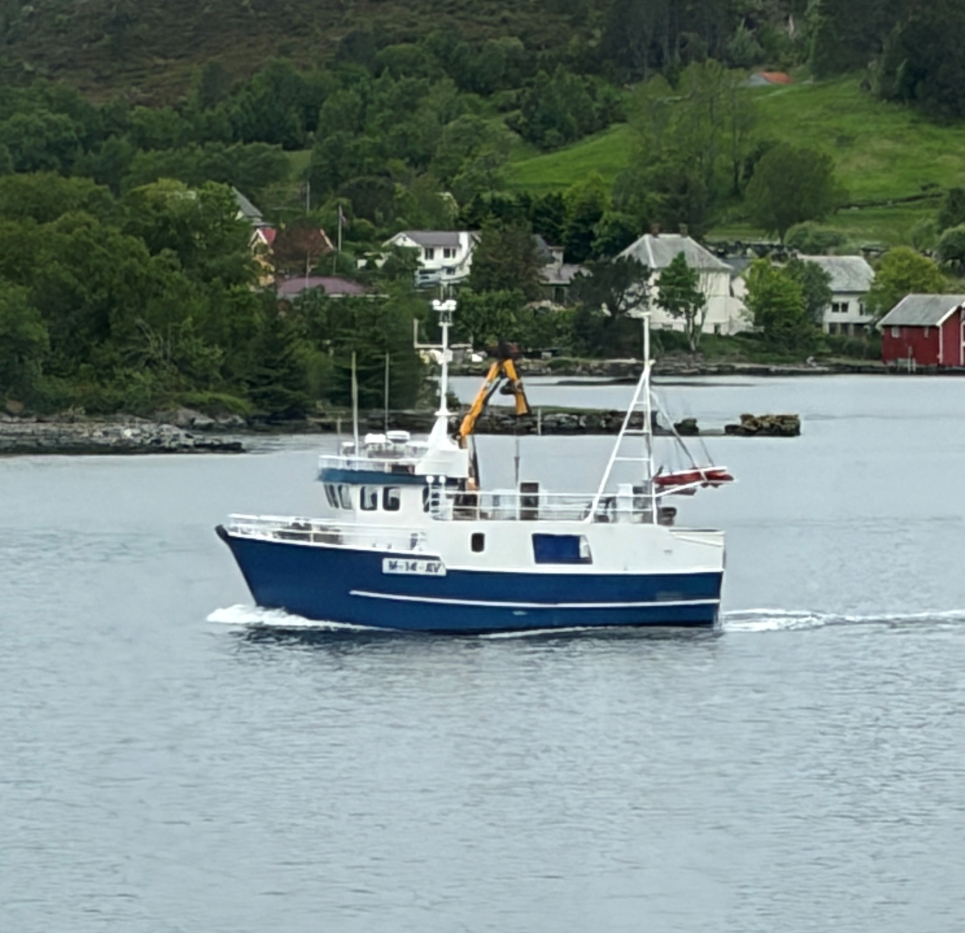  Sævikfisk 